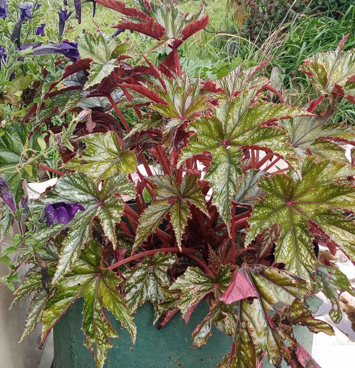 А вот такая получилась у меня