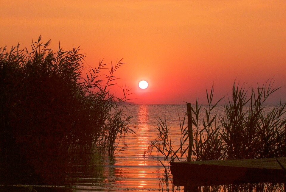 https://pixabay.com/ru/photos/%D0%B2%D0%BE%D1%81%D1%85%D0%BE%D0%B4-%D1%81%D0%BE%D0%BB%D0%BD%D1%86%D0%B0-%D1%80%D0%B0%D1%81%D1%81%D0%B2%D0%B5%D1%82-5206383/
