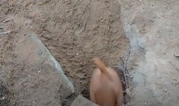 Реально заходит полностью