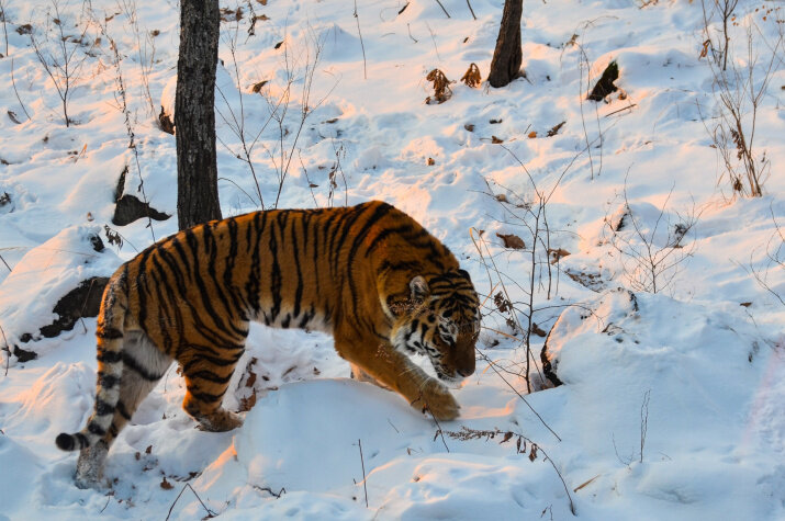 Фото: Шпилькина Ирина, участник конкурса РГО "Самая красивая страна"