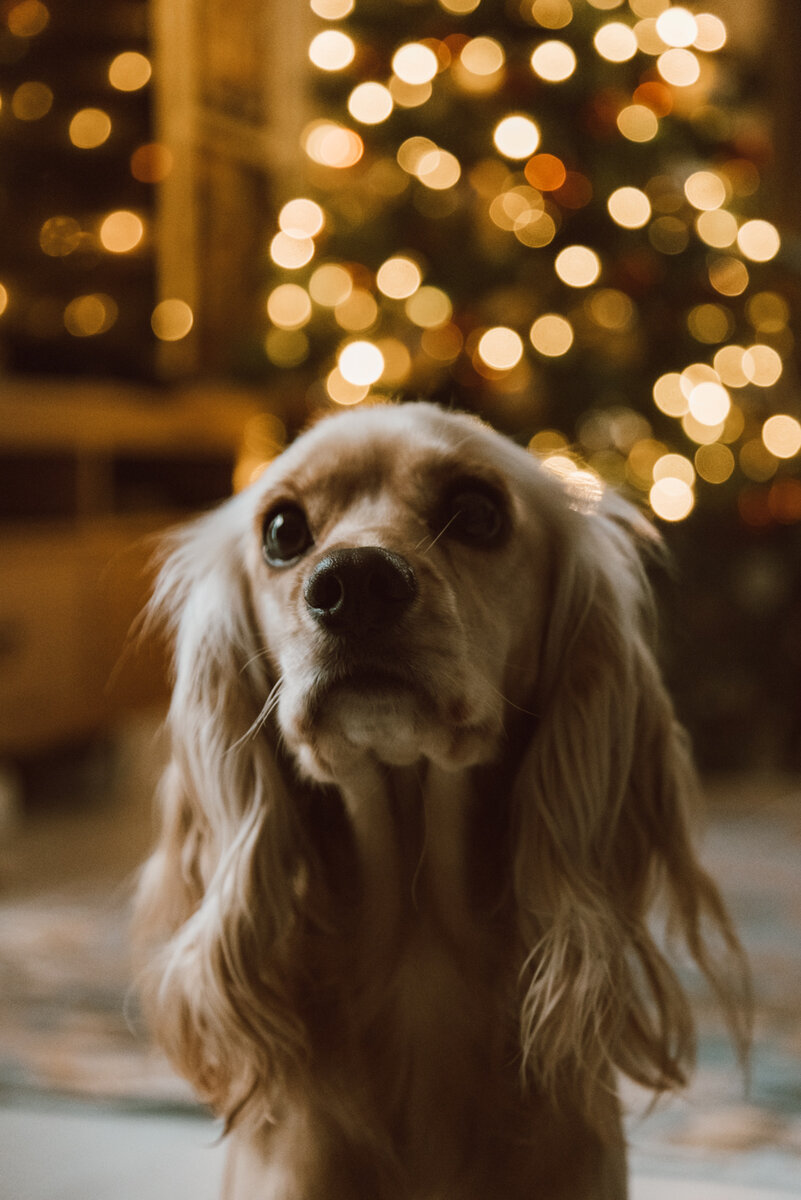 Фото автора ROMAN ODINTSOV: Pexels