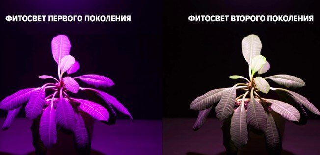 Согласитесь, что светильник нового поколения  намного более приятен для глаз.