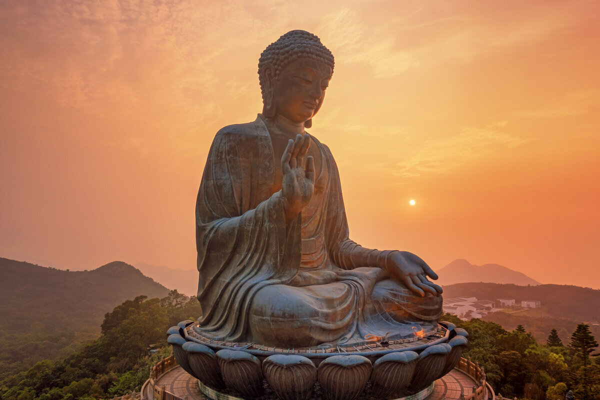 изображение из сети интернет и в свободном доступе