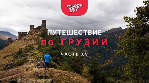 Рогозин трип дзен