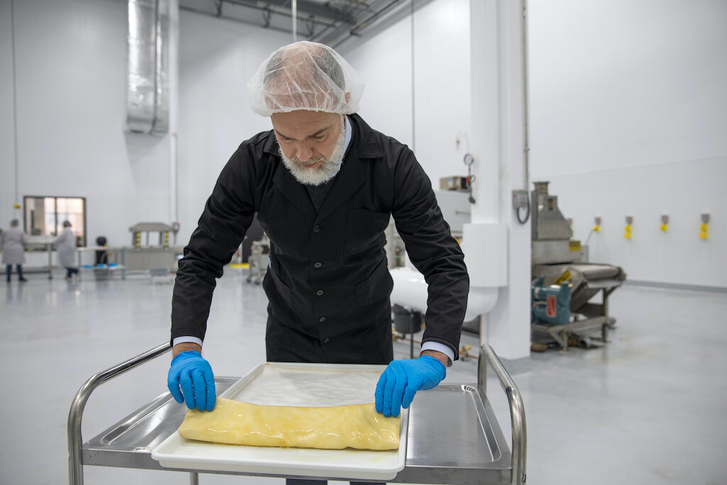 Альтернативный белок из бактерий