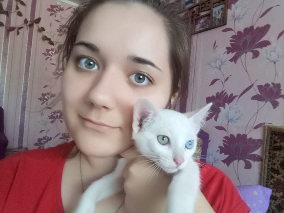 Появился я на свет в начале марта 2020 года,а взяли меня три месяца спустя. Как оказалось, не хотели брать, потому что у моих девчонок есть горький опыт. До меня они взяли у той же хозяйки полосатого котёнка, моего старшего брата, но он чем-то отравился, не дожив до года. Они очень горевали по этому поводу, как я понял по их разговорам. Но вот где-то через год родился я, и моя первая хозяйка предложила им меня. Мама девчонок никак не поддавалась на уговоры, но у меня был бонус: помимо того, что я белоснежный, у меня ещё разноцветные глаза, перед которыми никто не устоит. Вот и они не устояли. На этом фото я в первые дни пребывания в новом доме на руках у старшей сестры Лили, которая и уговорила свою маму взять меня. С тех пор мы с ней неразлучны, все делаем вместе. 
