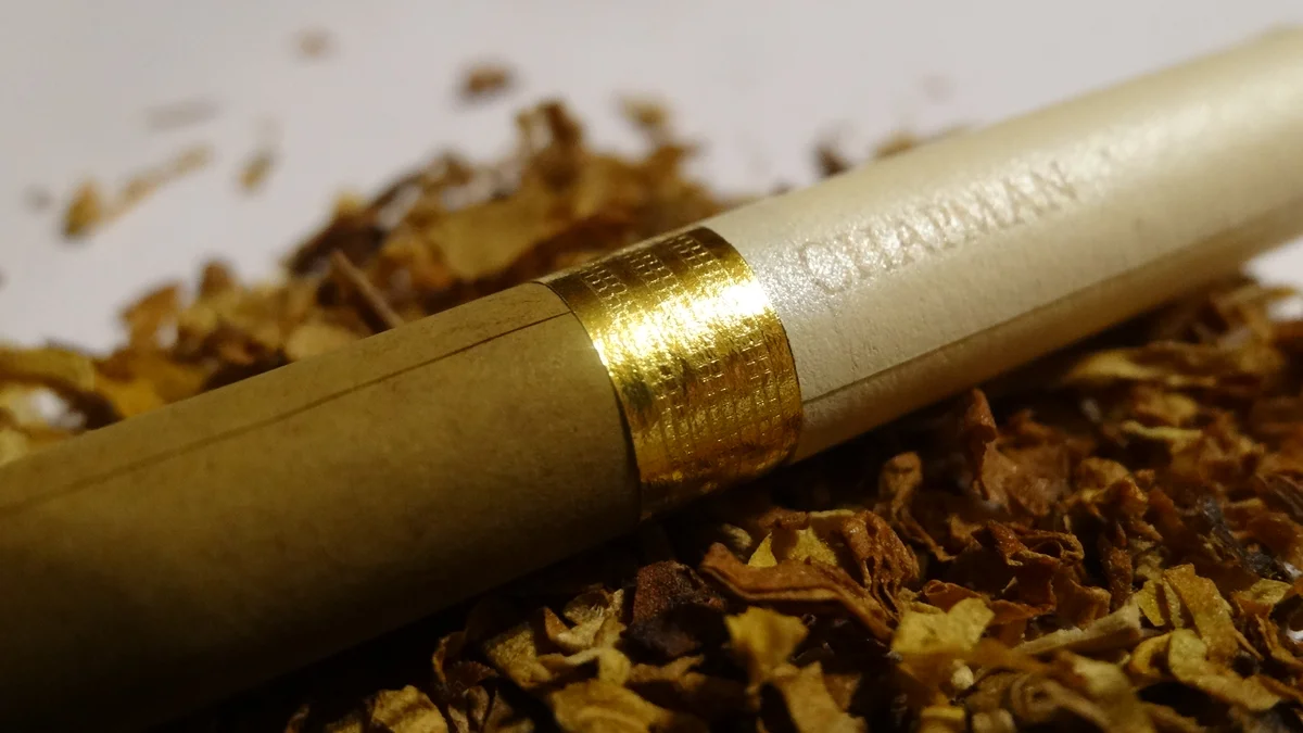 Chapman gold сигареты. Чапмен сигареты. Chapman сигареты Голд. Голд сиги Чапман.