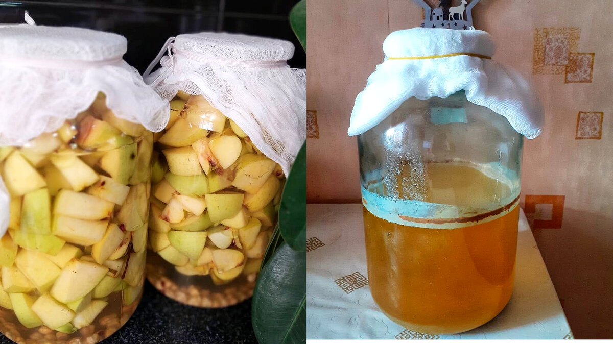 Это не тот метод похудения, о котором вы могли подумать. Яблочный уксус — это яблочный сок, подвергнутый двойной ферментации.