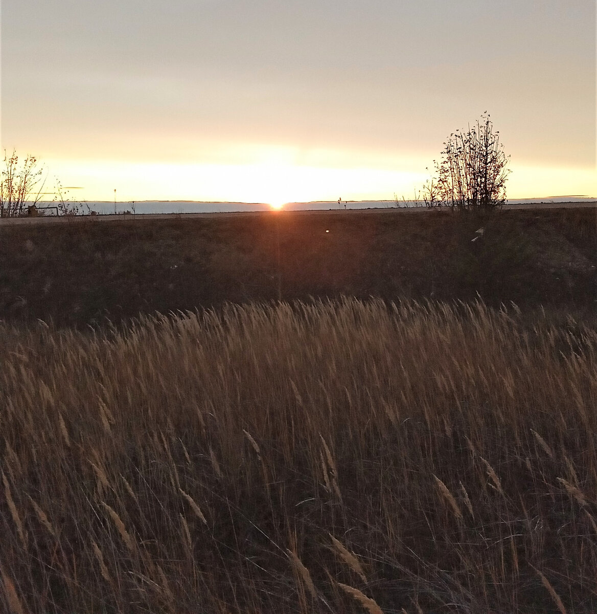 Рассвет. Фото автора канала.