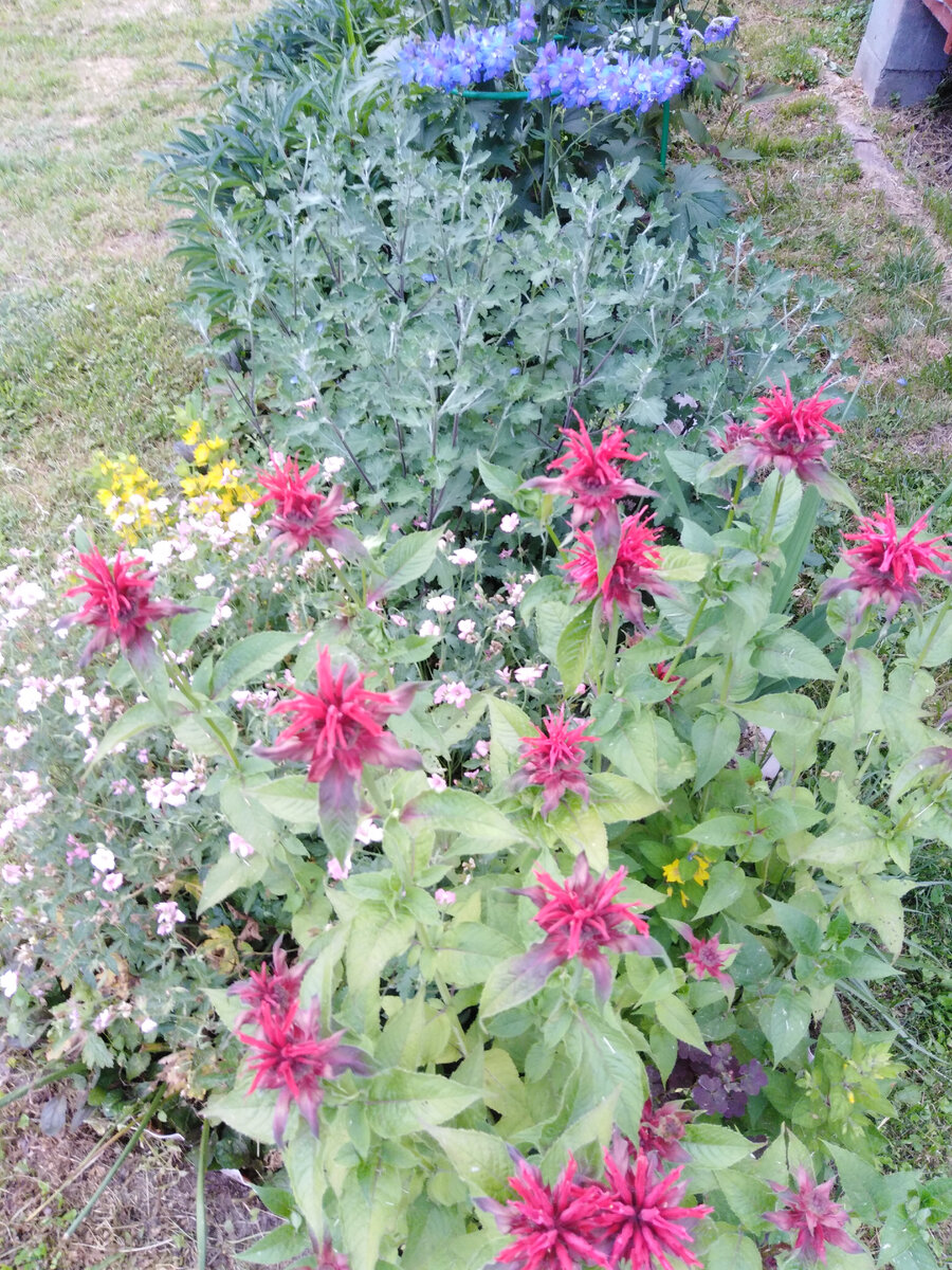 Вид с другой стороны