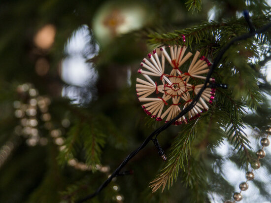     фото: архив РИА верхневолжье