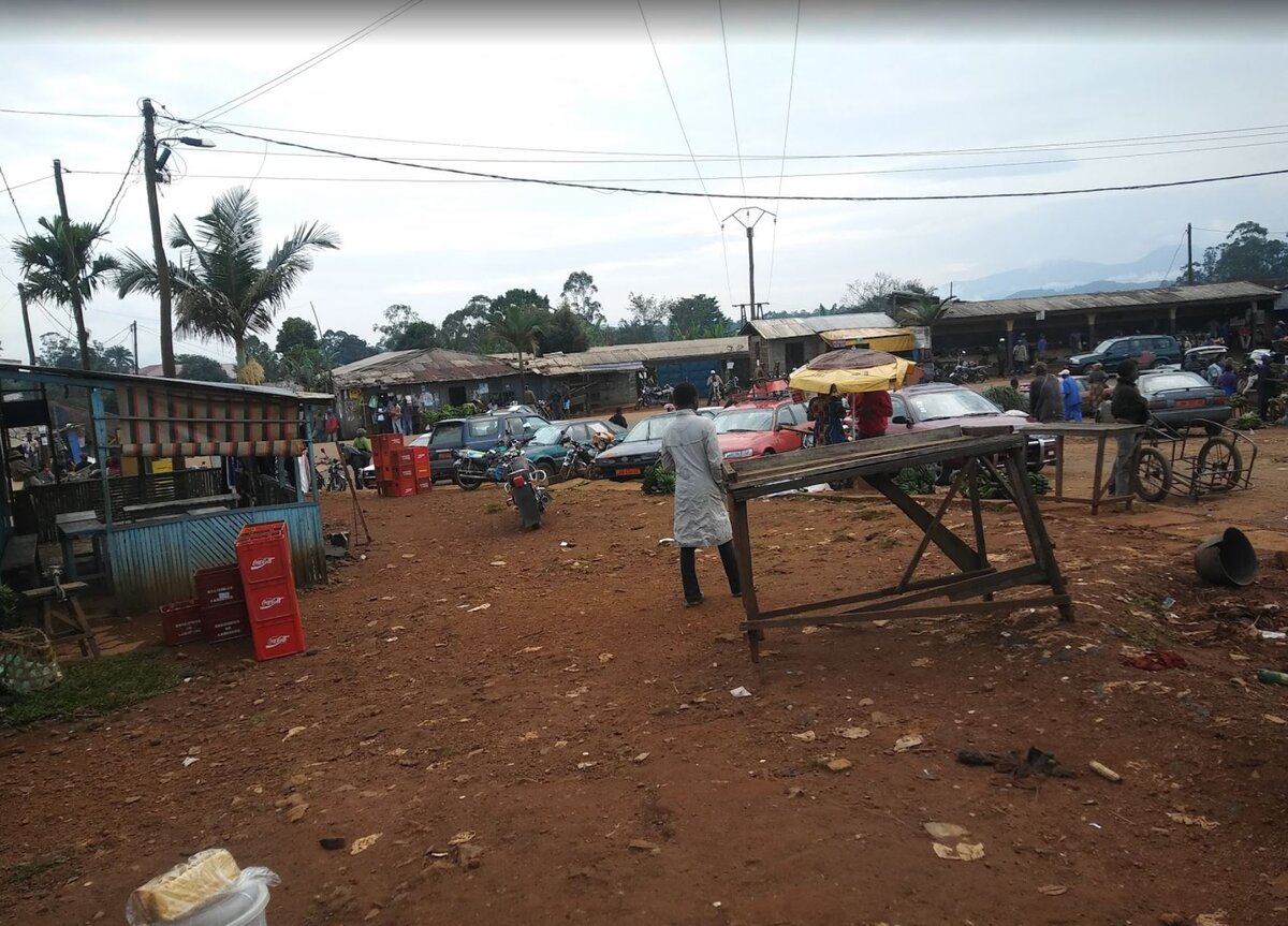 Инфраструктуре есть куда расти, зато пальмы уже выросли!