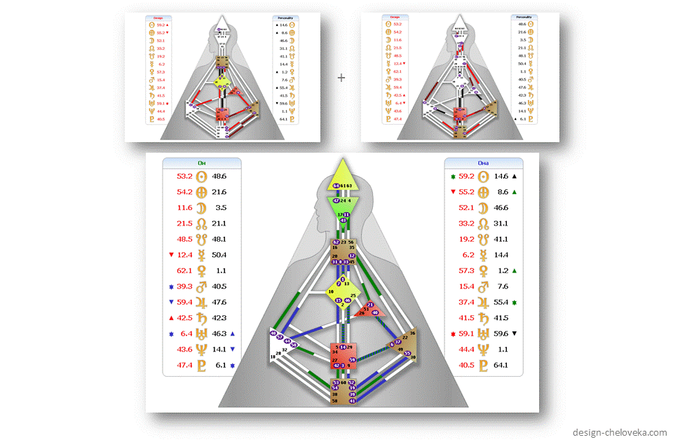 Дизайна Человека рассчитать карту бесплатно с расшифровкой.