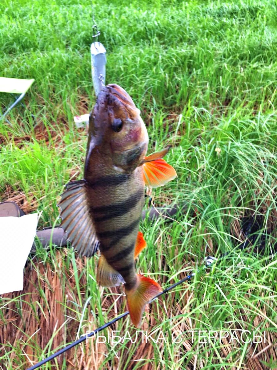 Рыбалка - мое самое любимое хобби!