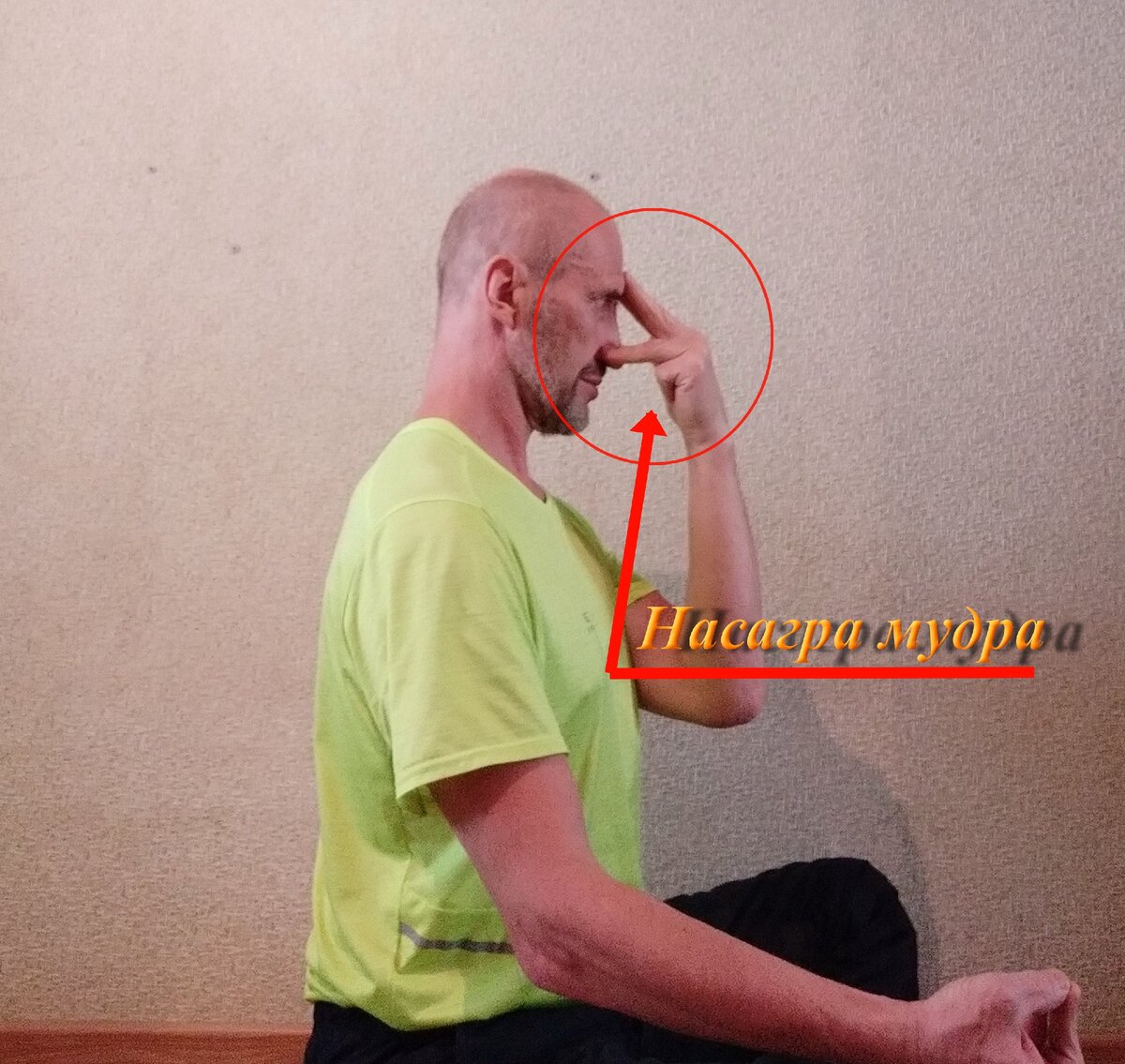 Насагра Мудра.