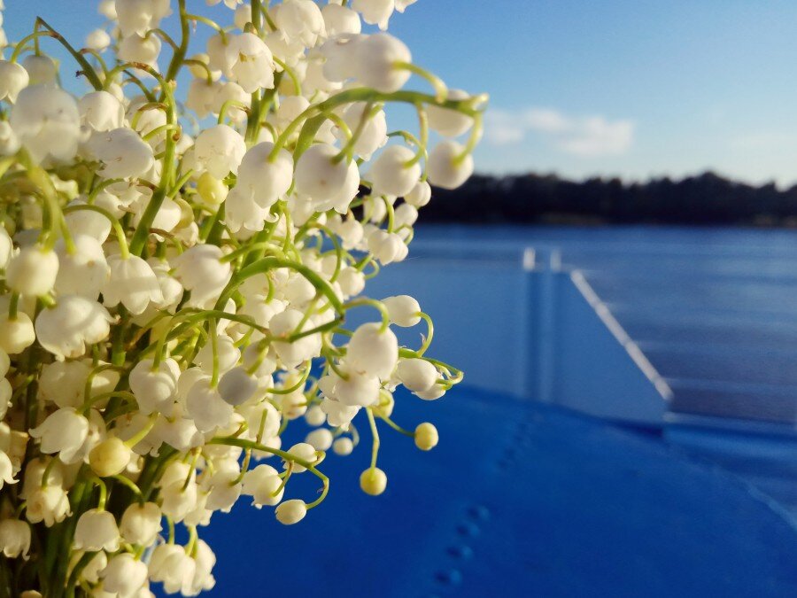 Майский круиз 