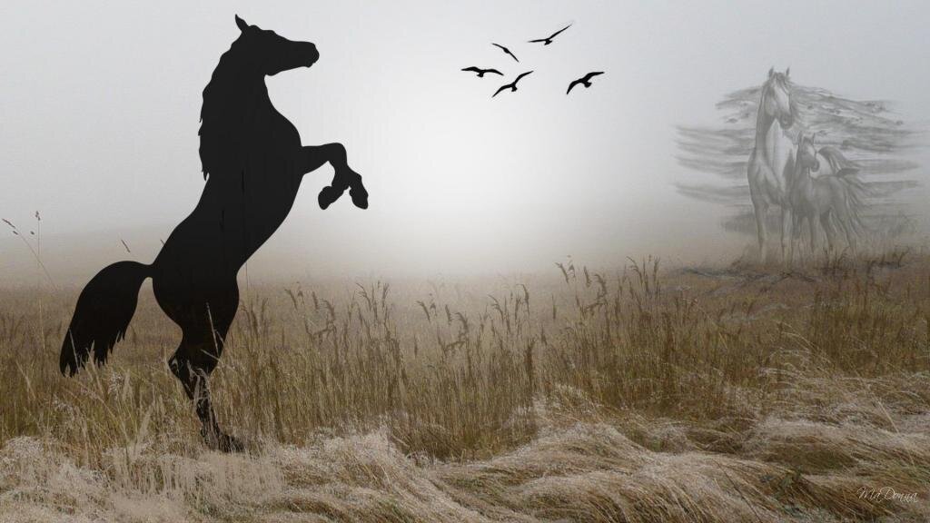 картинка из открытых источников.