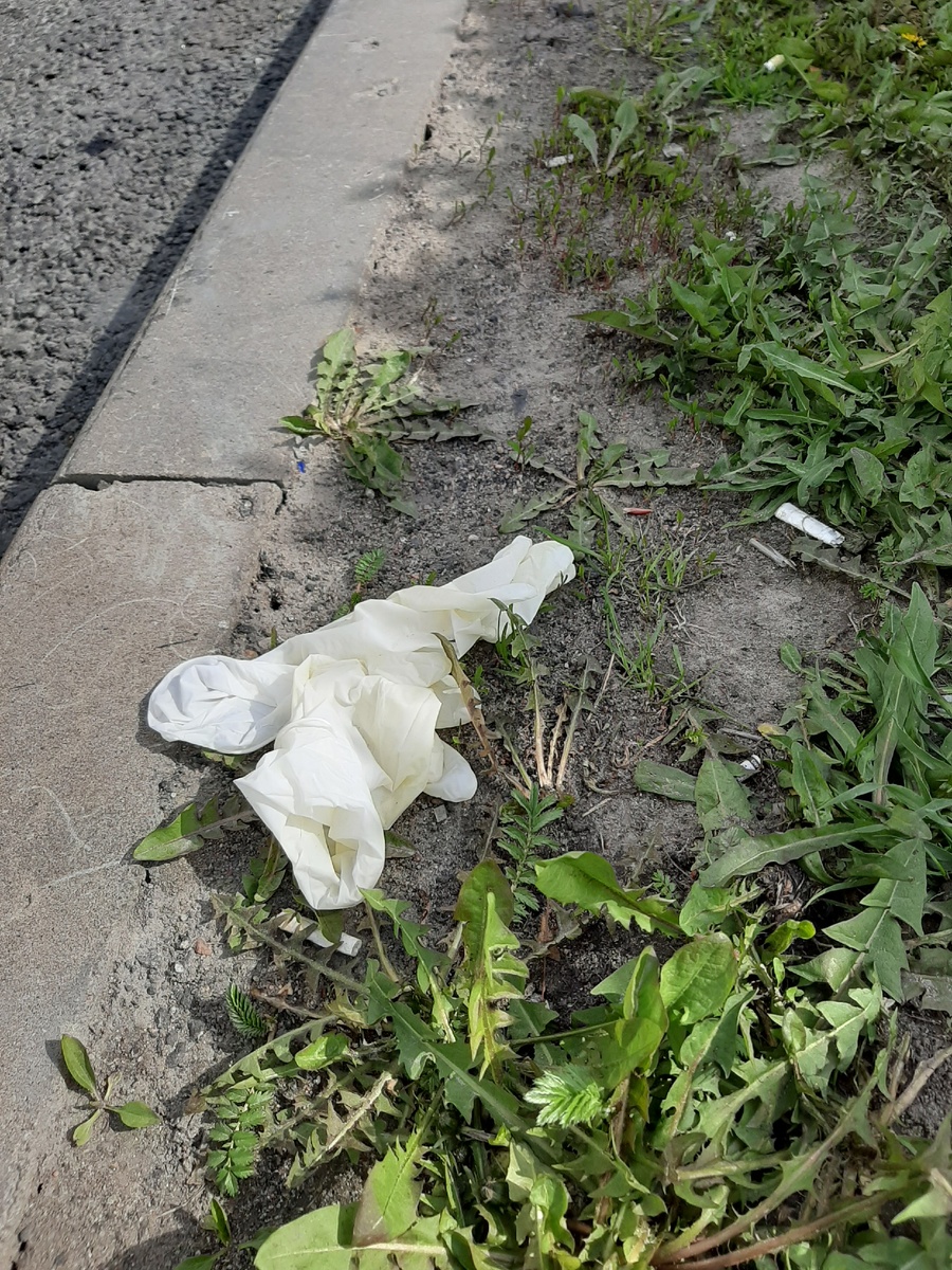 Эти перчатки не донести было кому то до урны, выкинули на газон. Конечно, службы уберут. Порядок ли это??