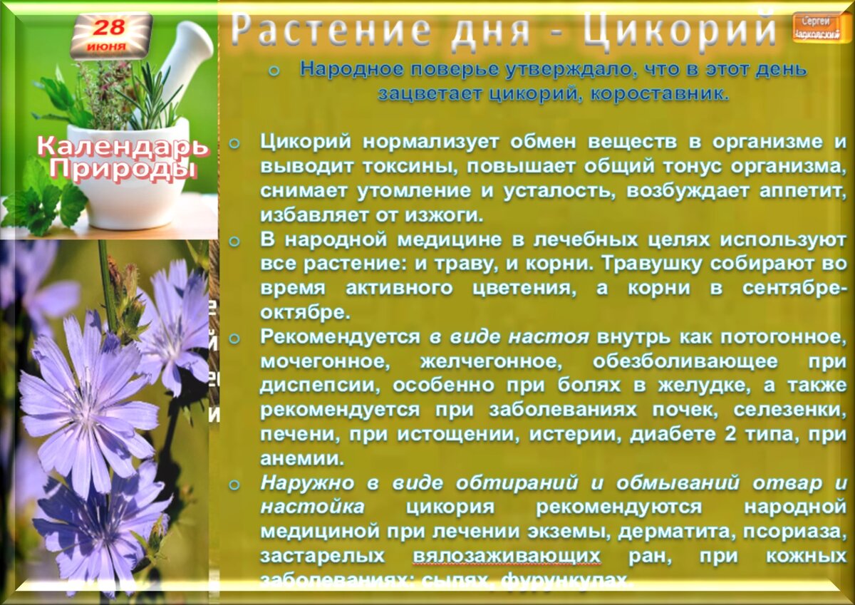 27 июня приметы. Приметы на среду