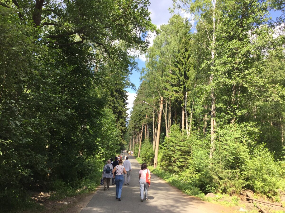 Выбирая программу, внимательно читайте ее описание. Будете знать, что вас ждет; экскурсия по лесу или самостоятельная прогулка