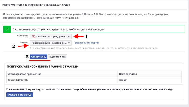 Лидконвертер. Настройка рекламы генерация лидов пример. Страница захвата лидов пример. Как прописать лид в фл