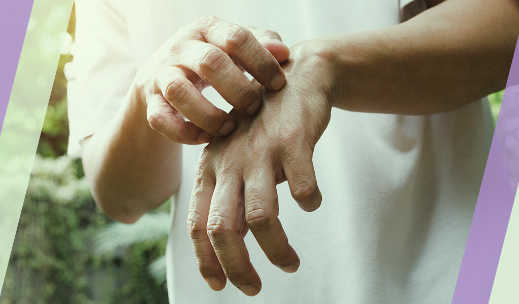 Что поможет в борьбе с комарами, помимо химии? Разбираемся в статье.