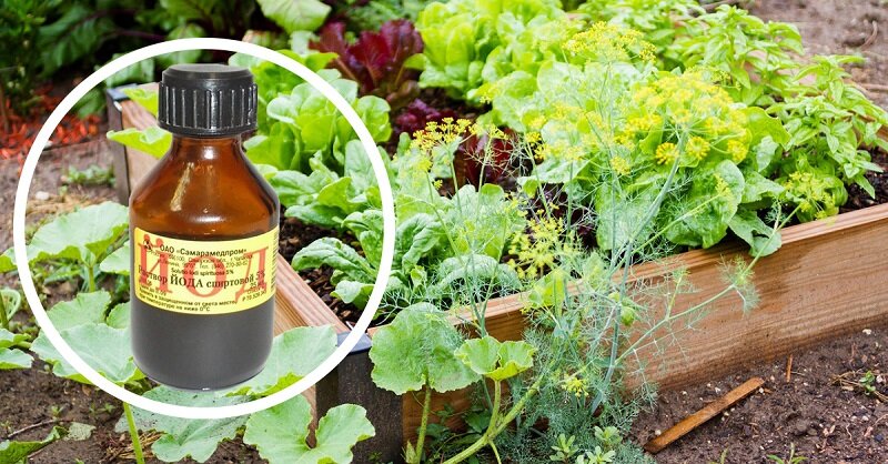 Источник - Яндекс.Картинки