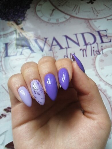 NAILWIND Гель-лак для ногтей Светодиодный УФ-лампа гель-лаки Рисование Гибридный маникюрный набор для дизайна ногтей нужен базовый верхний слой Гель-лак