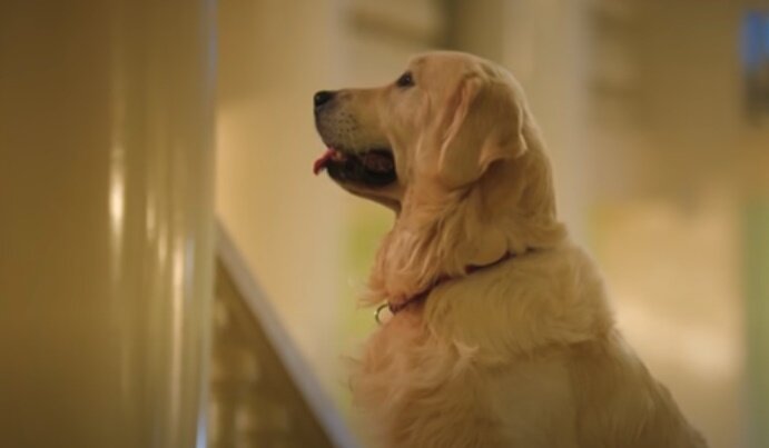 Кадр из сериала "Катя и Блэк"