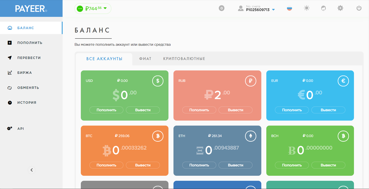 Главная страница кошелька PAYEER (пример моего кошелька)