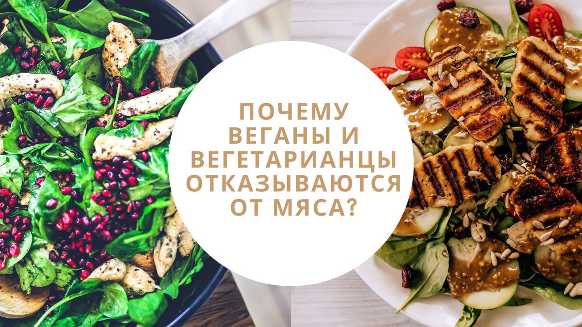 Почему вегетарианцы и веганы сознательно отказываются от мяса?