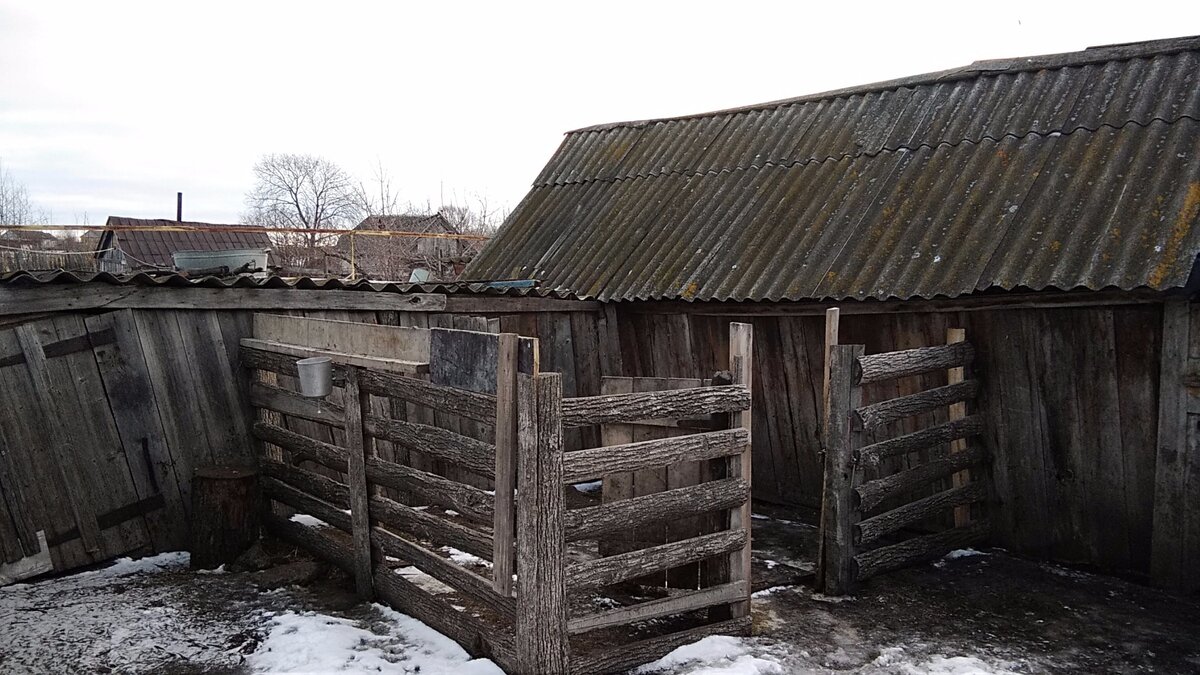 Хозпостройки из старого дерева. Фото из личного архива.