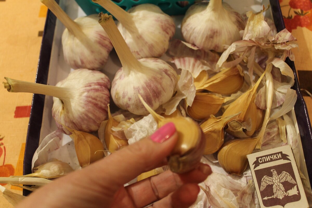 Во всех статьях  канала - только личные  фото автора