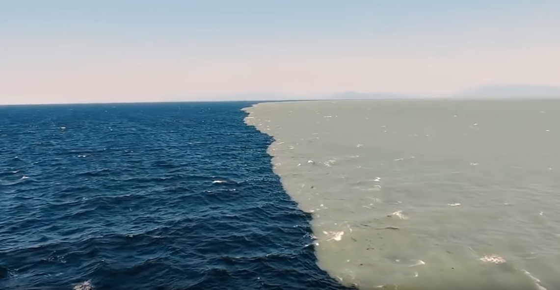 Аляскинский залив. Галоклин Балтийское море. Почему воды океанов не смешиваются