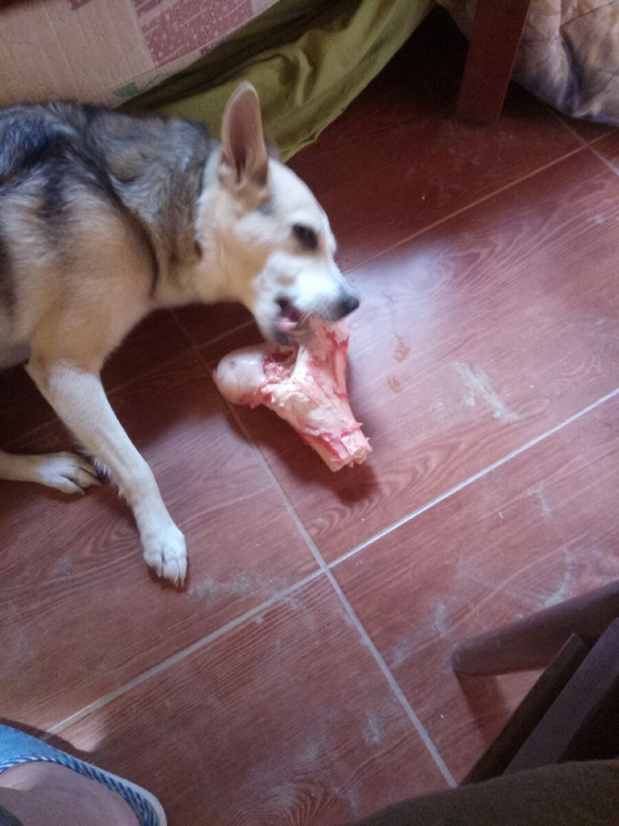 Фото из личного архива автора