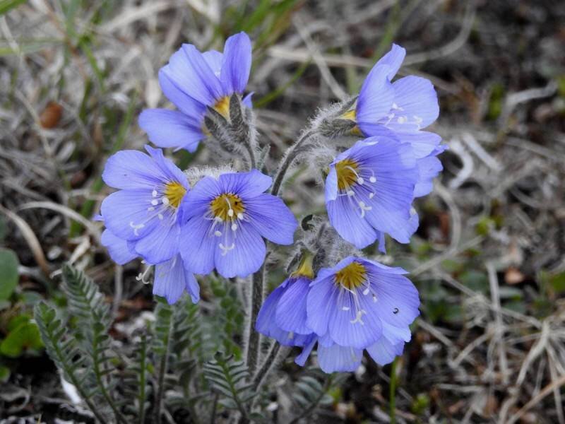 Фото предоставлены участниками экспедиции