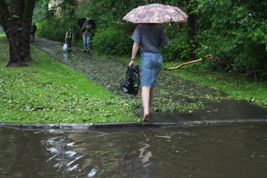 Ливень в Москве 25 июля 2022. Дождь в Москве. Ливень в саду. Москва после дождя.