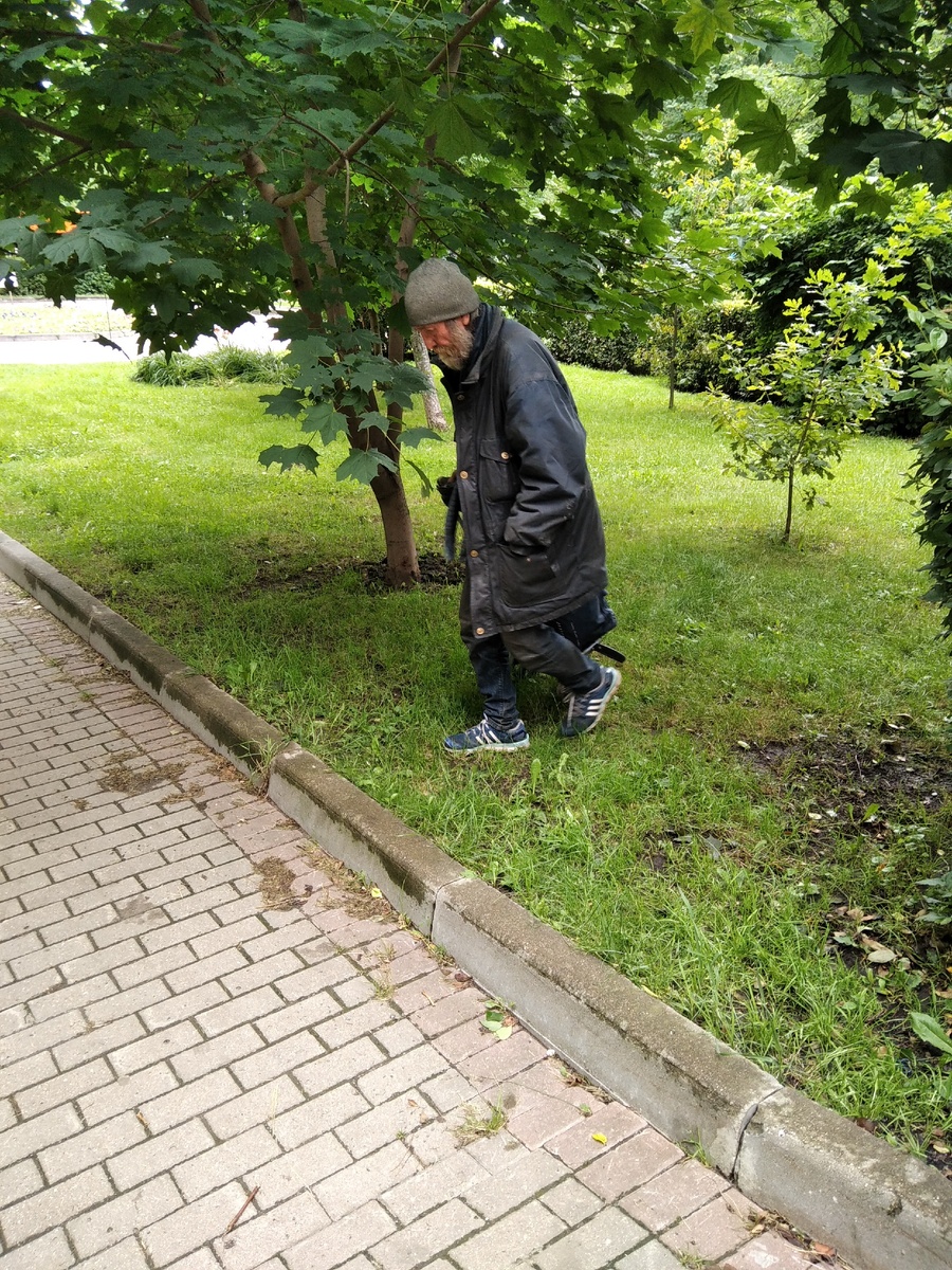 Москва, Север