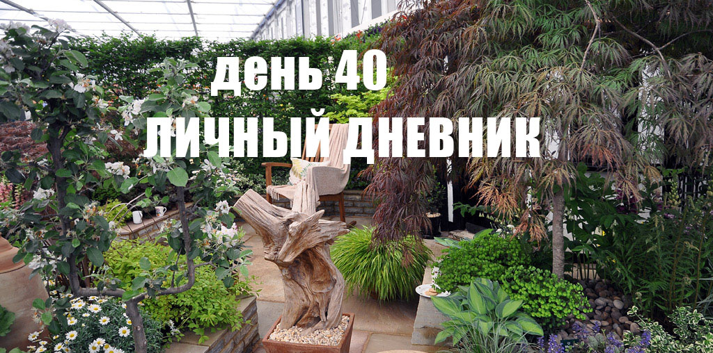 Ведение личного дневника, избитый совет, но лично мне помогает двигаться. На фото одна из моих целей!