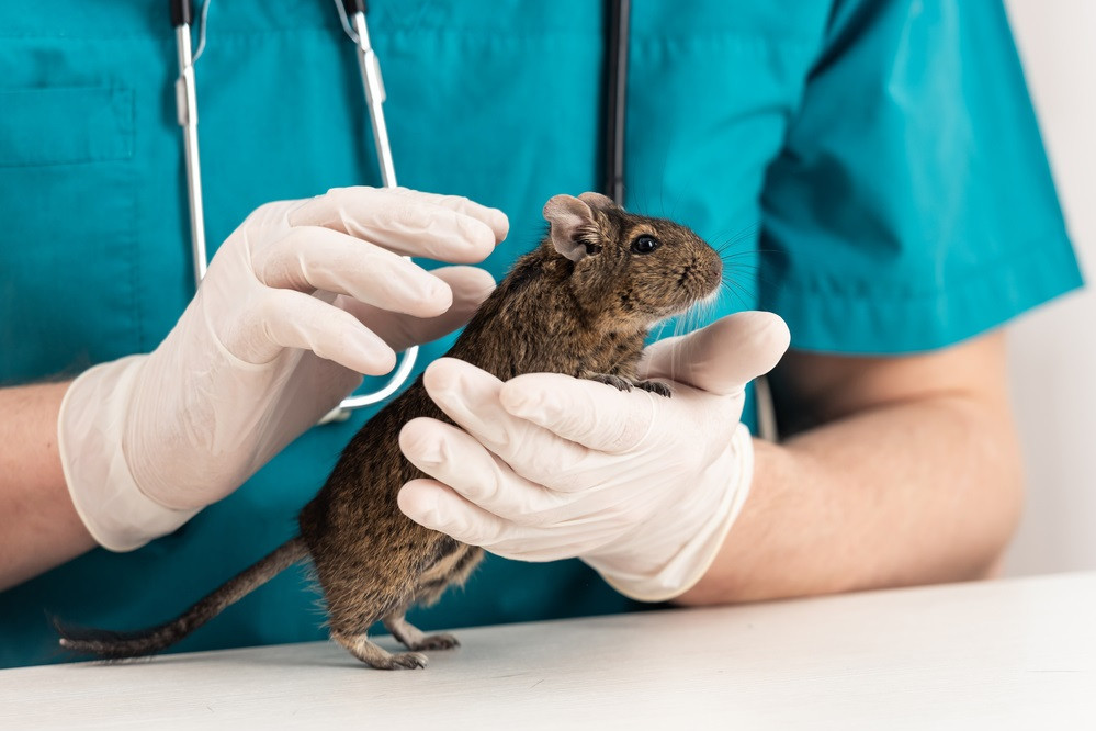 Источник фото: medvestnik.ru