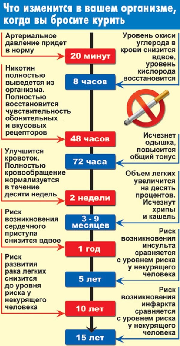 Картинка из интернета в свободном доступе.