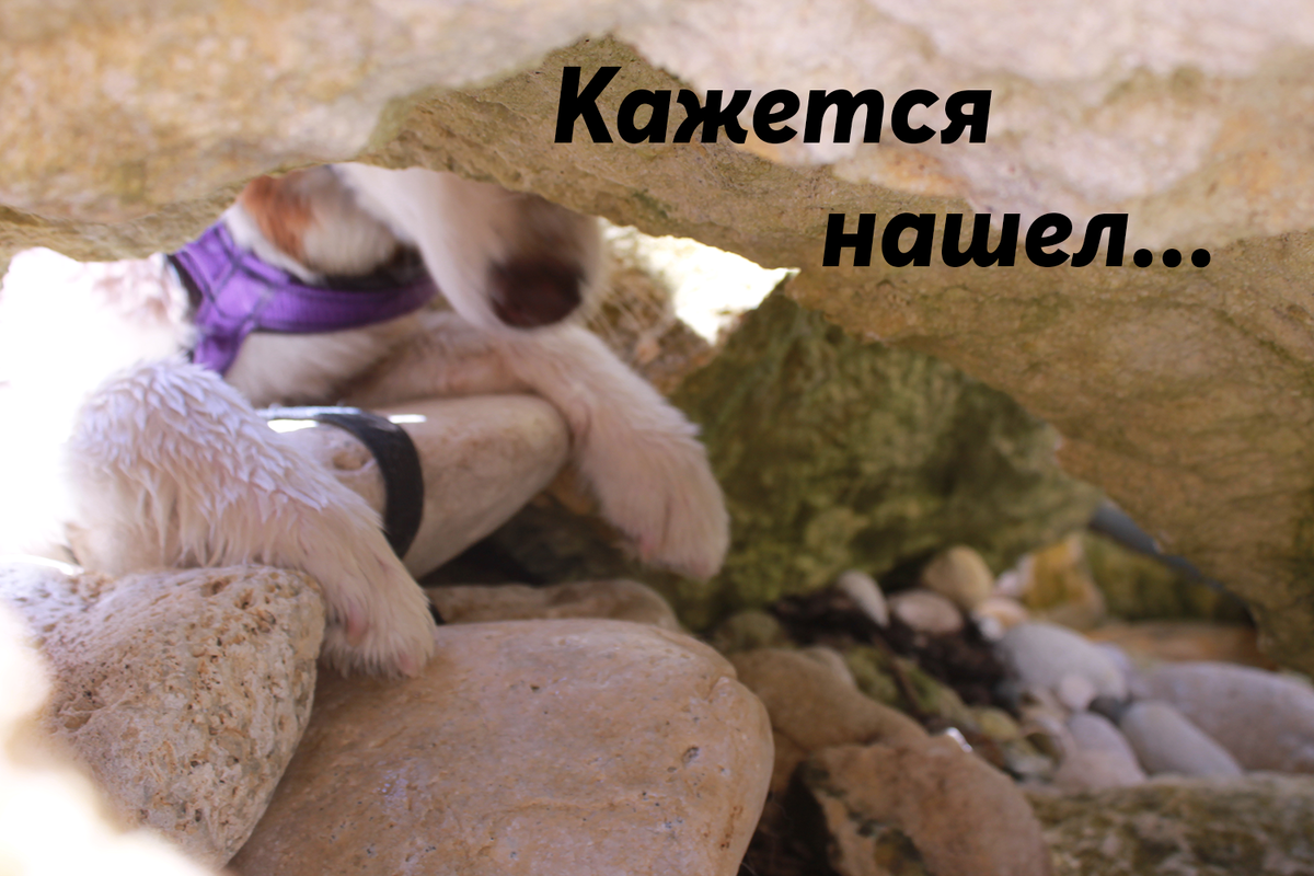 Программа "Доступное жилье" в действии