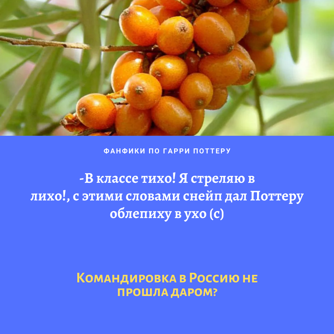 57. Продолжаем хит-парад смешных цитат из фанфикшена по Гарри Поттеру!Ловит...