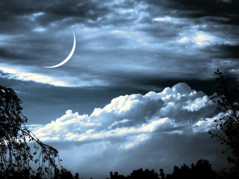 Фото из Интернета