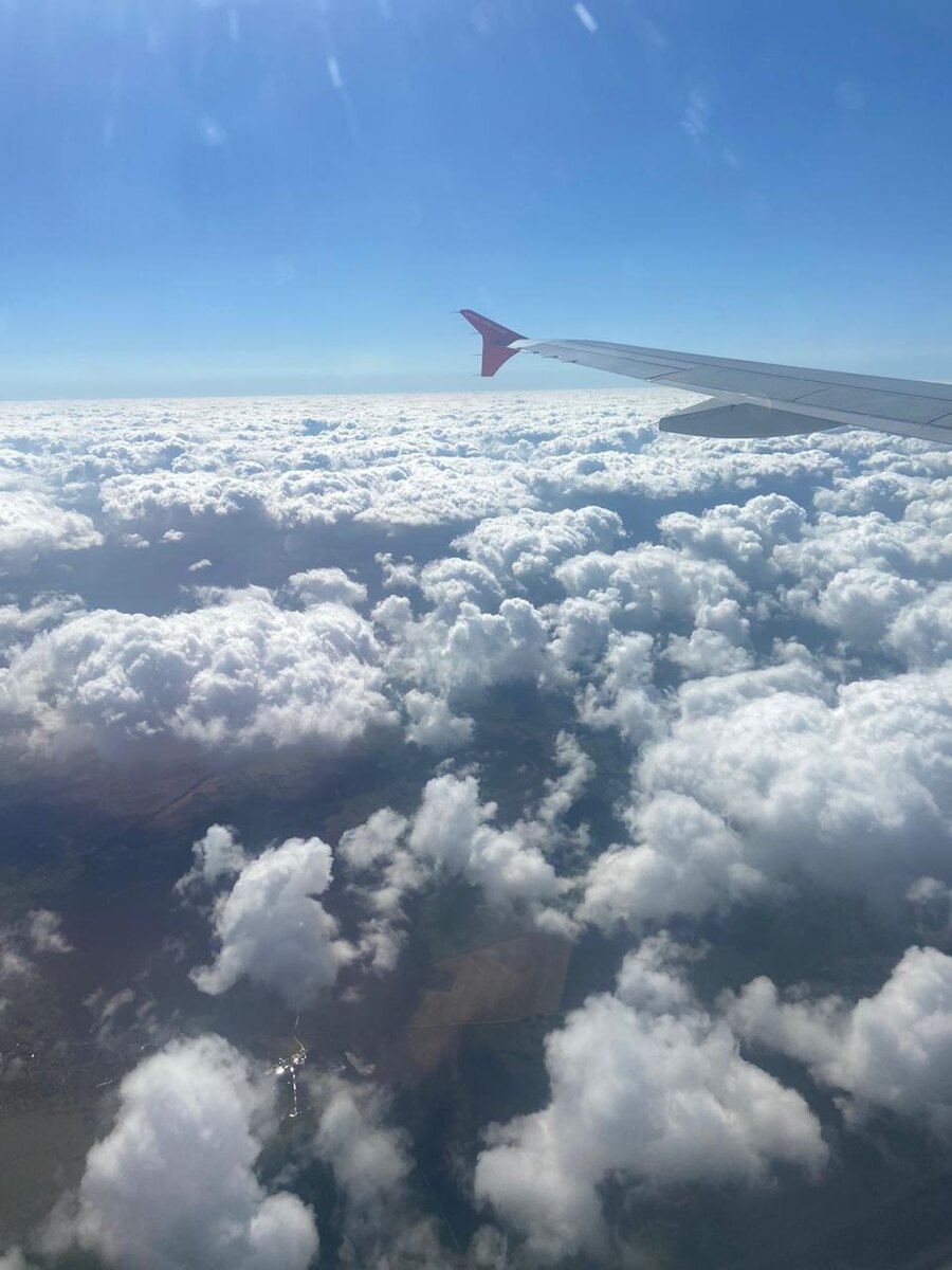 Над облаками