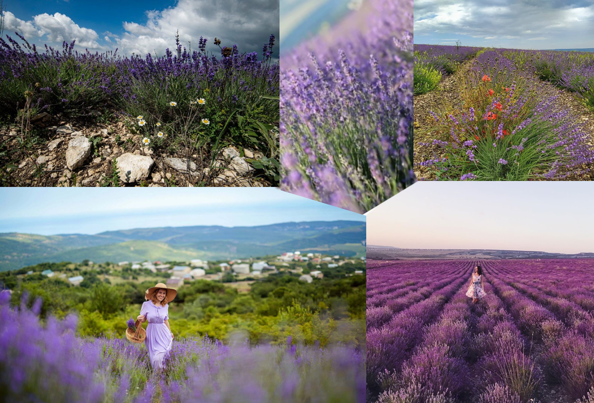 Здесь только свежесть полей и нет ни какой загазованности воздуха!