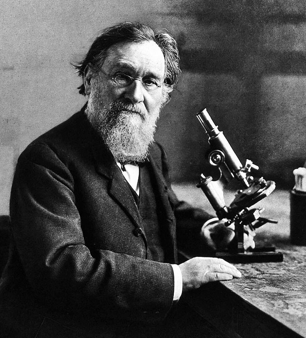 Илья Ильич Мечников