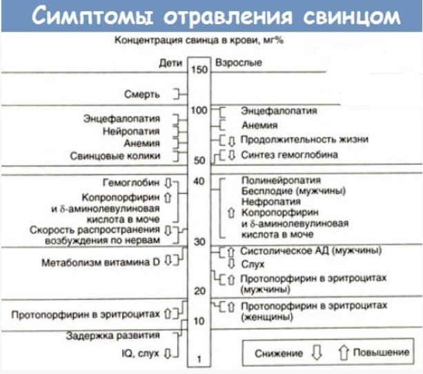 Симптомы отравления свинцом