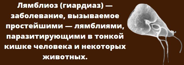 Определение из Википедии