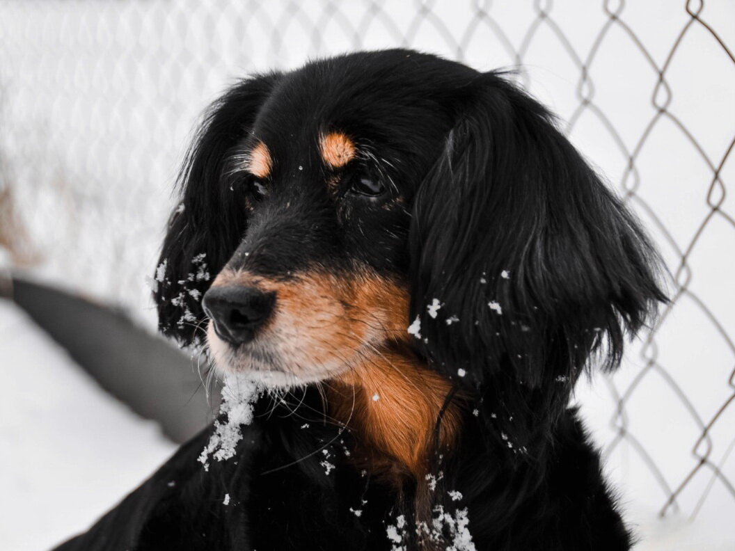 Фото из личного архива моей дочери. Опубликовано с разрешения автора 